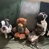 Fred and Earl 🐾 - @fredandearlduo - TikTok
