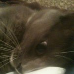 Fred😸😺 - @fred_ebert1 - Instagram