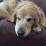 Fred - @frededson8 - Instagram