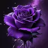 Frededson - @frededson - TikTok