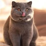 @fredellison2023 - Instagram