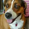 Fred Engleman - @fred.engleman - TikTok