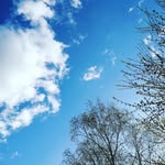 FredeMB - @frederbma - Instagram