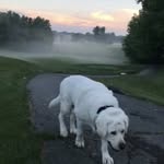 Fred Estes - @hawk09716 - Instagram