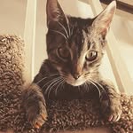 fred estes - @fred_loves_jasmine - Instagram