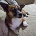 Fred Everts - Facebook