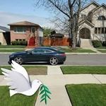 Fred Ewing - @fredewing1 - Instagram