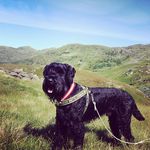 Fred B. Fairchild - @blackiechan_53mason - Instagram