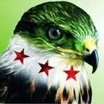 Fred Falcon - @falconfree126 - Instagram