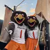 Freddie & Frieda Falcon - @thebgsubirds - TikTok
