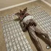 freddie_falcon - @freddie_falcon - TikTok