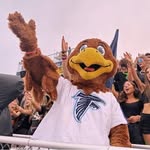 FREDDIE THE FALCON - @freddie.thefalcon - Instagram