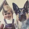 Fred Felder - @fred.felder - TikTok
