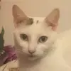 FREDERIC FRANTZ - @user7947325363026 - TikTok