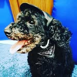 Fred - @fred.frederico.fred - Instagram