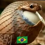 Fred Frederico - @fred.frederico.106 - Instagram
