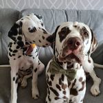 Fred & Freya - @fredandfreya - Instagram