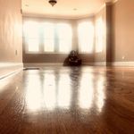 @fredfreychicago - Instagram