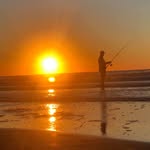Fred Fuller - @fredfuller4 - Instagram