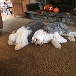 Fred Fuller - @flfuller2100 - Instagram