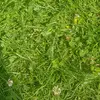 fussfredball - @fussfredball - TikTok