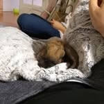 Frédéric g - @fred_geib - Instagram