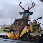 @fred_gerber69 - Instagram