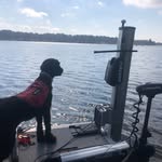 Fred Gerber - @thebassinpastor - Instagram
