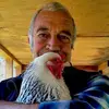 fredgerber93 - @fredgerber93 - TikTok
