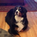 Fred Glazier - @frtrglazier - Instagram