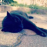 Fred Gleason - @logbagoslay - Instagram