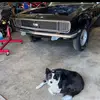 Fred Goodwin - @fred.goodwin - TikTok