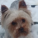 Fred Grant - Facebook