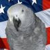 Fred Greenspan - Facebook