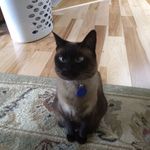 Fred Grubb - @roadkillchef3 - Instagram
