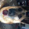 freddygrubb753 - @freddygrubb753 - TikTok