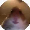 Freddie Hamlin - @freddie.hamlin17 - TikTok