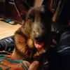 Fred Hamm - @fred.hamm75 - TikTok