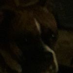 timmy_Fred_Haney - @timmy_8515 - Instagram