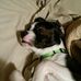 Fredrick Hanley - Facebook