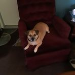 Fred Harker - Facebook