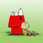 Fred Harmon - @fredharmon2005 - Instagram