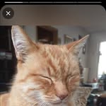 fred hartman - @fredhartman164 - Instagram