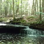 Fred Hartman - @hartfarms2022 - Instagram