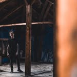 Fred Hartmann - @fredthehartmann - Instagram