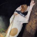 Fred Hays - @nr7419 - Instagram