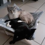 Fred Hays - @fredhays33 - Instagram