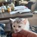 Fred Heck - Facebook