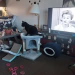 Fred Heck - @fredheck8 - Instagram