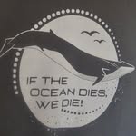 Fred Heckmann - @fred_heckmann - Instagram